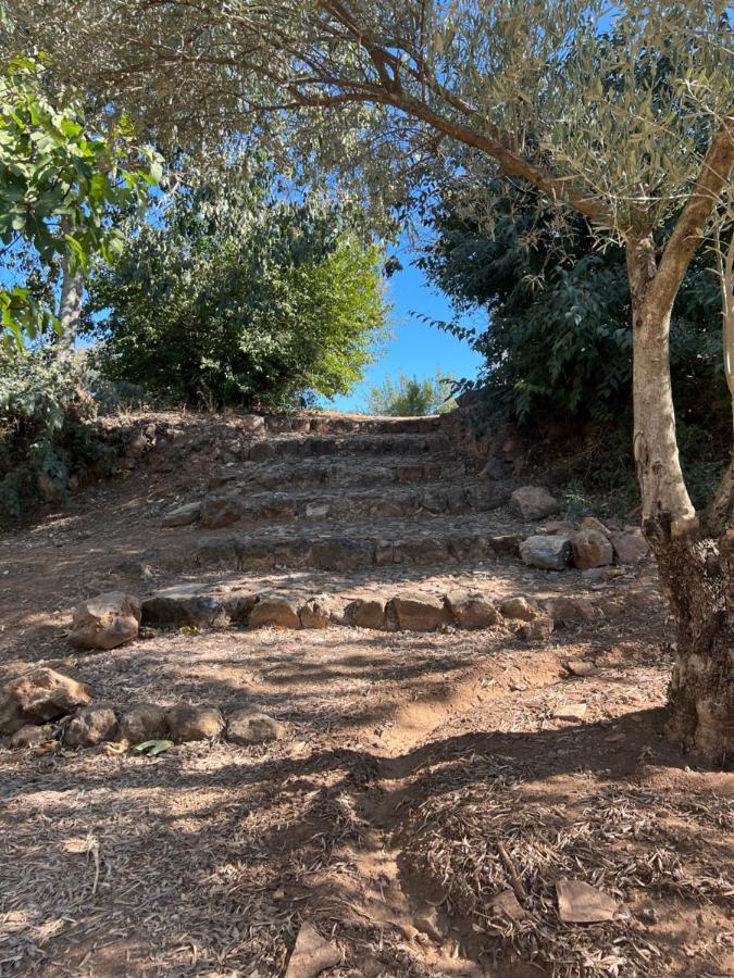 La Casita De Campo Hébergement de vacances *